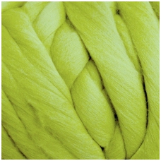 Wool tops 50g. ± 2,5g. Color - salad dish, 26 - 31 mik.