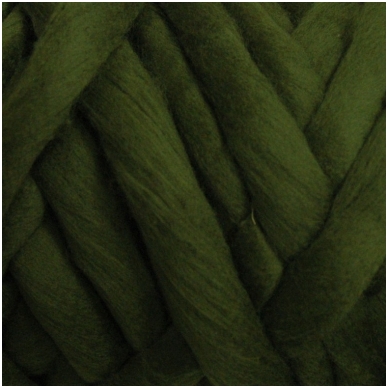Wool tops 50g. ± 2,5g. Color - moss, 26 - 31 mik.
