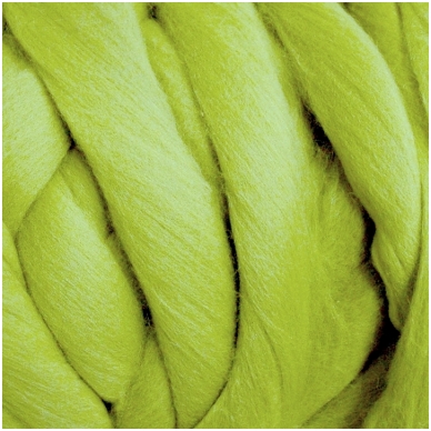 Medium Merino wool tops 50g. ± 2,5g. Color - salad dish, 20.1 - 23 mik.