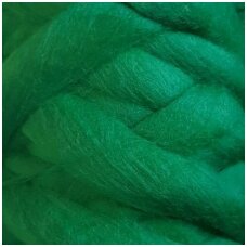 Fine wool tops 50g. ± 2,5g. Color - green, 18,6 - 20 mik.