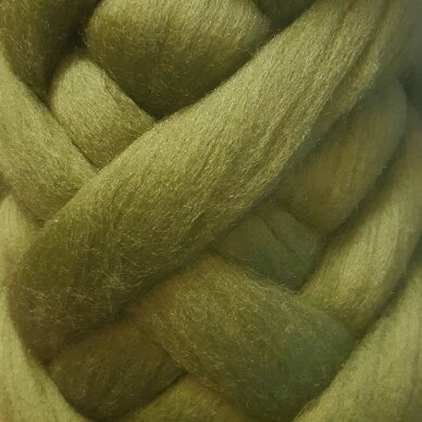Medium Merino wool tops 50g. ± 2,5g. Color - moss, 20.1 - 23 mik.