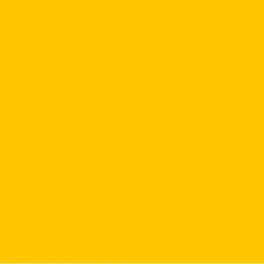 Acid dye for wool 5g. Color - dark yellow. Can be painted wool 400g.
